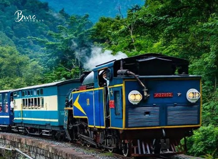 Ooty Tour Packages Image