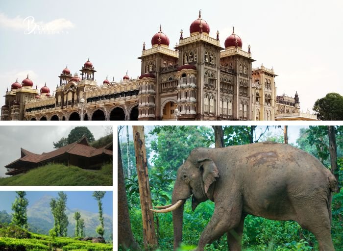 Mysore Coorg Wayanad Tour Package Image